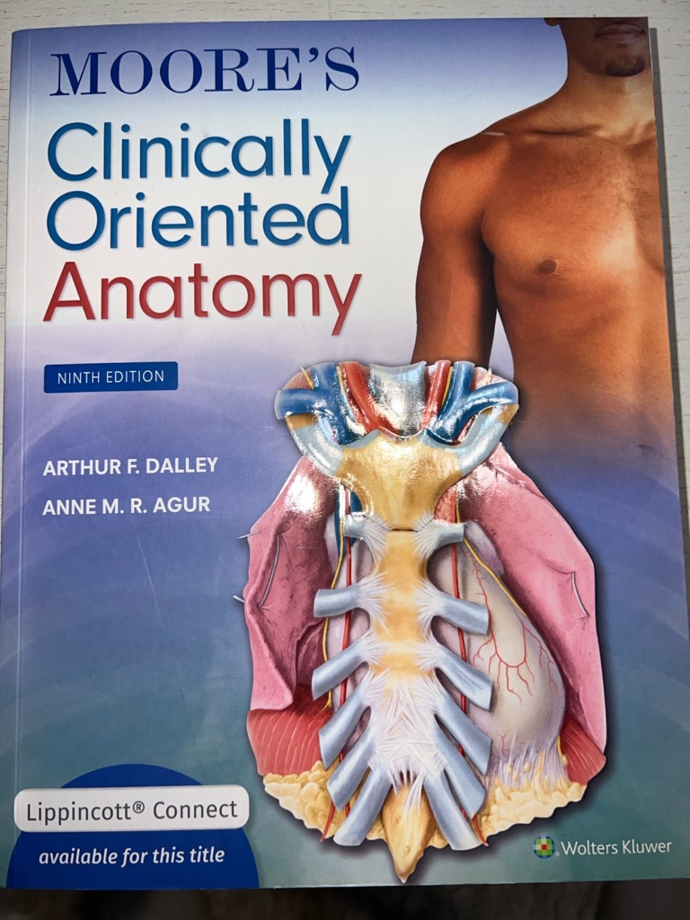 Moore's Clinically Oriented Anatomy Textbook - Blue, Red, Pink Cover